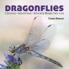 Dragonflies: Catching - Identifying - How and Where They Live