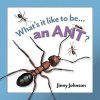 What's It Like To Be An Ant
