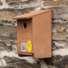 Tree Sparrow Nest Box
