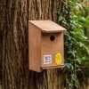Tree Sparrow Nest Box