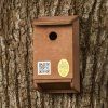 Tree Sparrow Nest Box