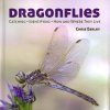 Dragonflies: Catching - Identifying - How and Where They Live