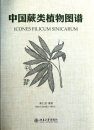Icones Filicum Sinicarum [English / Chinese]