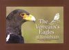 The Verreaux's Eagles of Roodekrans