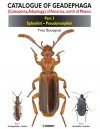 Catalogue of Geadephaga (Coleoptera, Adephaga) of America, North of Mexico, Part 3