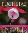 Fuchsias: An Illustrated Guide to Varieties, Cultivation and Care