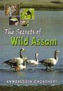 The Secrets of Wild Assam