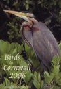 Birds in Cornwall 2006 (All Regions)