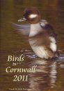 Birds in Cornwall 2011 (All Regions) (2DVD)