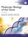 Molecular Biology of the Gene (International Edition)