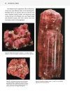 Collector's Guide to the Tourmaline Group