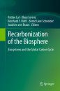 Recarbonization of the Biosphere