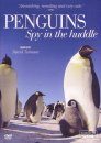 Penguins: Spy In the Huddle (Region 2)