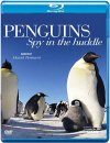 Penguins: Spy In the Huddle (Region 2)