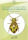 Illustrated Key to the Families of British Springtails (Collembola)