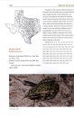 Amphibians and Reptiles of Texas