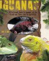 Iguanas: A Pictorial Guide to Iguanas of the World and Their Care in Captivity
