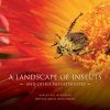 A Landscape of Insects