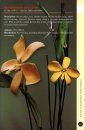 A Guide to Dendrobium of New Guinea