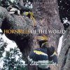 Hornbills of the World