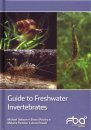 Guide to Freshwater Invertebrates