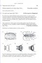 Guide to Freshwater Invertebrates