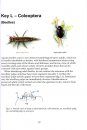 Guide to Freshwater Invertebrates