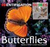 Butterflies: Identification Guide