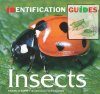 Insects: Identification Guide