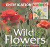 British & European Wild Flowers