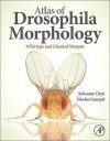 Atlas of Drosophila Morphology