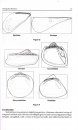 Identification of Marine and Freshwater Molluscs Shells [of India]