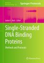 Single-stranded DNA Binding Proteins