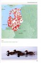 Atlas of Duck Populations in Eastern Europe