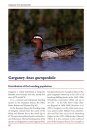 Atlas of Duck Populations in Eastern Europe