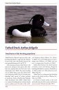 Atlas of Duck Populations in Eastern Europe