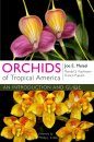 Orchids of Tropical America