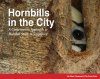 Hornbills in the City