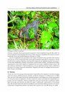 Amphibian Biology, Volume 11, Part 3