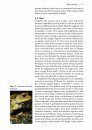 Amphibians and Reptiles