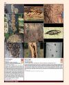 Insects and Diseases Damaging Trees and Shrubs of Europe