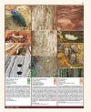 Insectes Ravageurs et Maladies des Arbres et Arbustes d'Europe