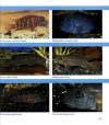 Encyclopaedia of Exotic Tropical Fishes for Freshwater Aquariums