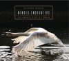 Winged Encounters