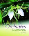 Reunion Island Orchids / Orchidées de La Réunion