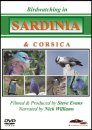 Birdwatching in Sardinia & Corsica (All Regions)