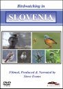 Birdwatching in Slovenia (All Regions)