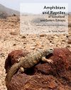 Amphibians and Reptiles of Somaliland and Eastern Ethiopia