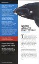 Whales and Dolphins: Atlantic Canada & Northeast United States