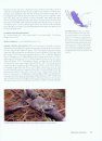 Mammals of Mexico